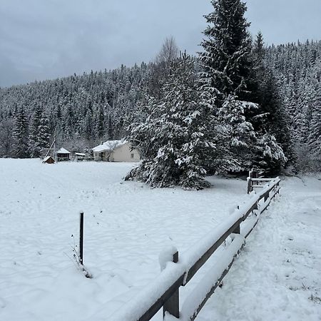 Vila Bambetli Tatariv Exteriér fotografie